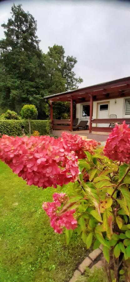 Bungalow Idylle Am See Neuruppin Exterior photo